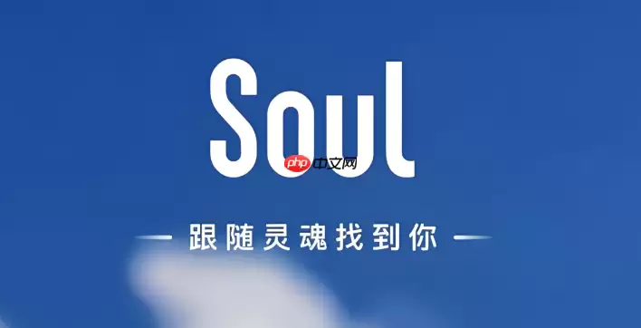 soul如何提高匹配成功率_Soul匹配成功率提升技巧