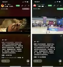 电脑视频号直播如何分享屏幕