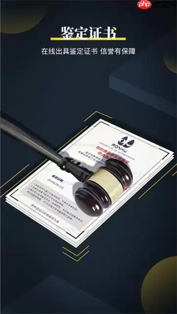 鉴定师APP怎么实名认证_鉴定师APP实名认证材料与操作流程