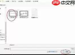 pr导出视频显示错误代码99的原因
