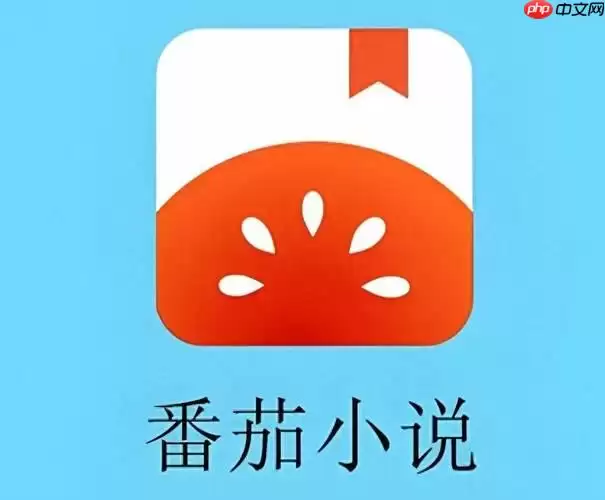 为什么番茄小说总是闪退怎么办_番茄小说闪退问题快速解决教程