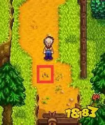 星露谷物语怎么钓变种鲤鱼