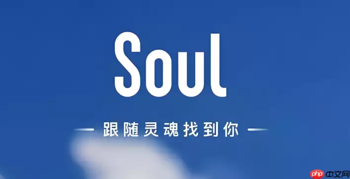 soul的捏脸数据怎么分享给别人_Soul捏脸数据分享方法