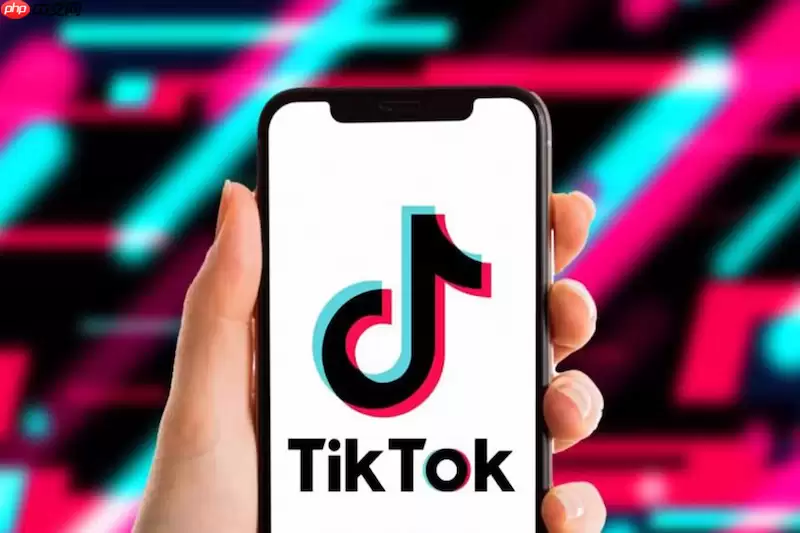 TikTok直播间画面模糊怎么办 TikTok直播清晰度调整与优化方法