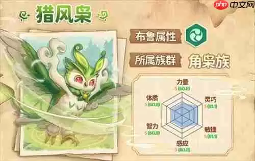 万灵之契布鲁猎风枭图文攻略