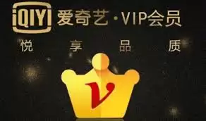 爱奇艺会员服务示意图