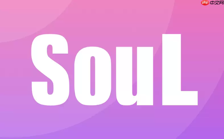 SOUL币账单查看方法图解