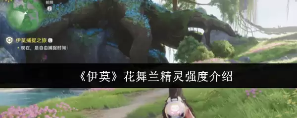 《伊默》花舞兰精灵强度介绍