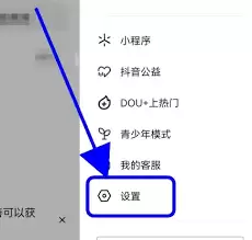 急速抖音设置界面示意
