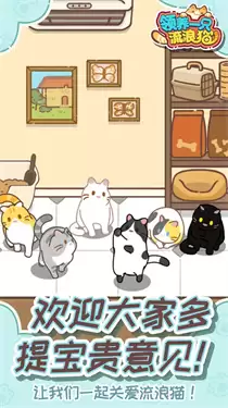 领养一只流浪猫