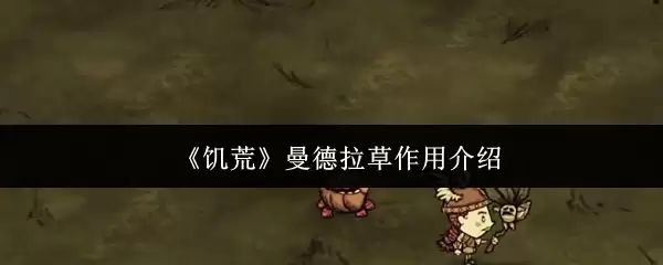 曼德拉草用途与功效详解：5大传统用法及注意事项