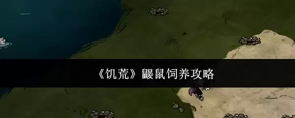 宠物蜜袋鼯饲养攻略：4个技巧让你的蜜袋鼯更亲人
