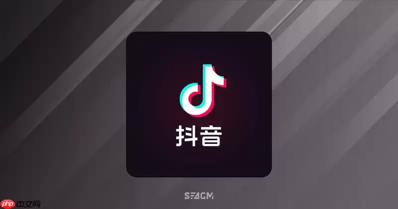 抖音网页版登录入口指南_抖音网页版官方网站入口网站