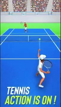 网球热3DTennis Fever 3D