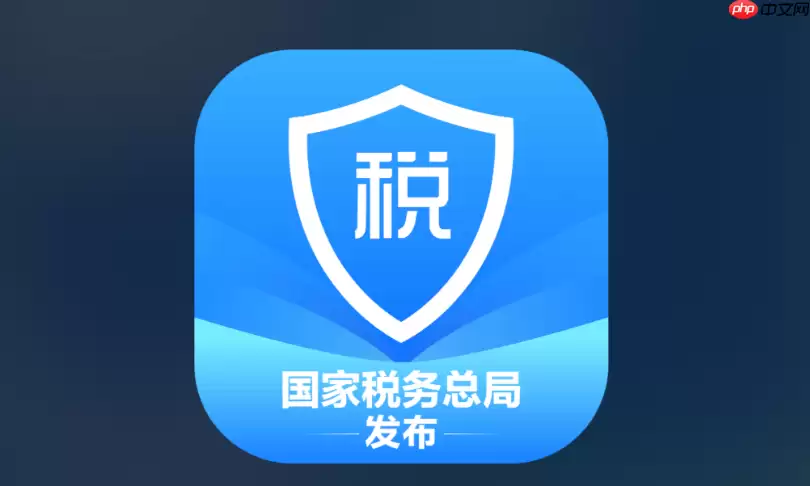 网上税务局个人所得税入口 网页版在线申报入口