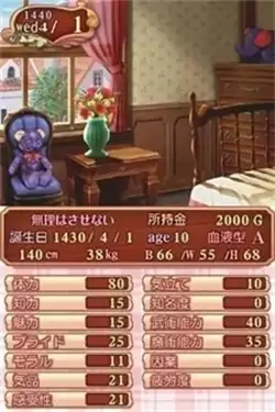 美少女梦工厂4完璧版