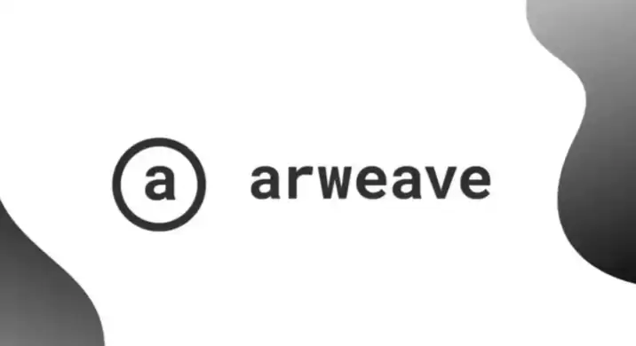 Arweave币：永久存储的未来？