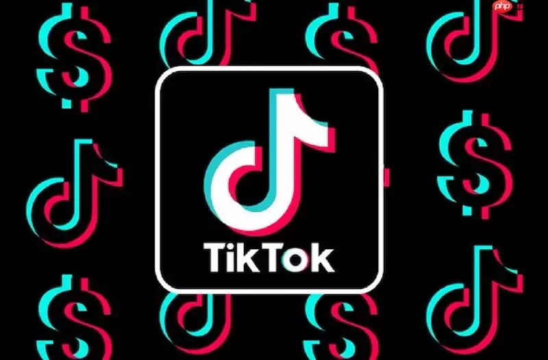 访问 TikTok 官网国际入口与网页版国际站