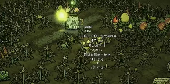 饥荒矮星照明效果展示