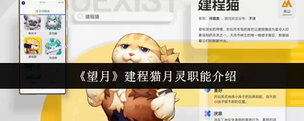 《望月》工程猫月灵介绍