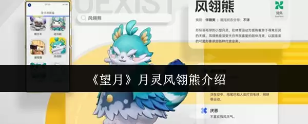 《望月》月灵风翎熊介绍