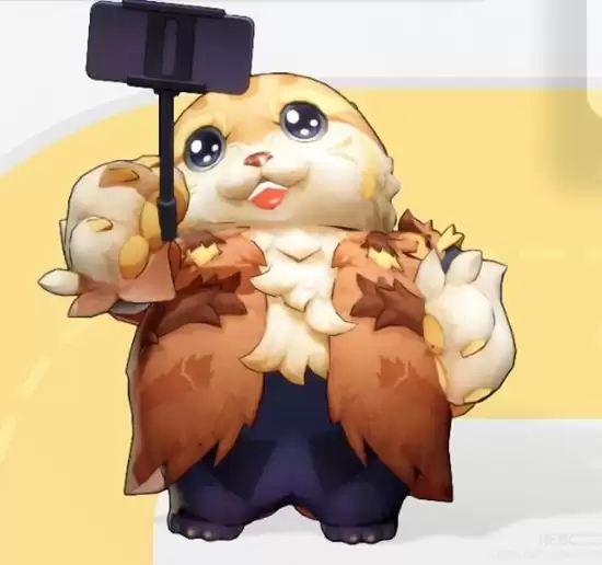 《望月》工程猫月灵历史