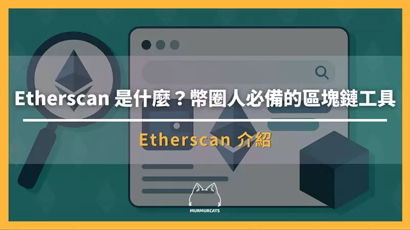 Etherscan 是什么？一文掌握以太坊浏览器使用方法(从基础查询到进阶追踪)