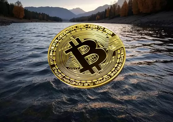 贝莱德IBIT比特币现货ETF连20日资金流入！高盛加码布局 成为市场关注焦点