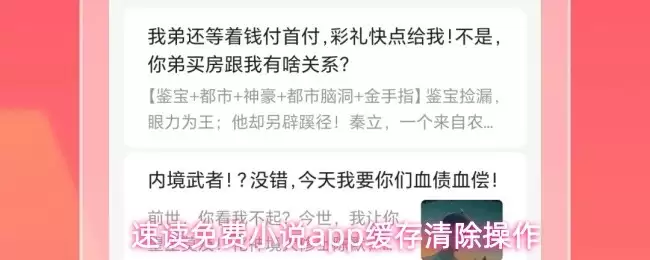 速读免费小说APP缓存清理示意