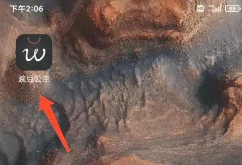 打开豌豆公主App