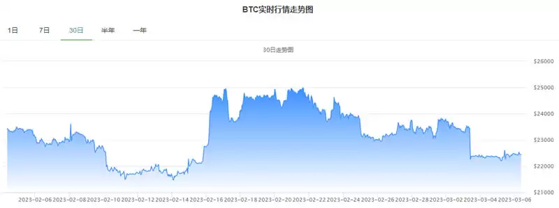 比特币交易行情实时走势图分析_20250307BTC最新价格行情美元