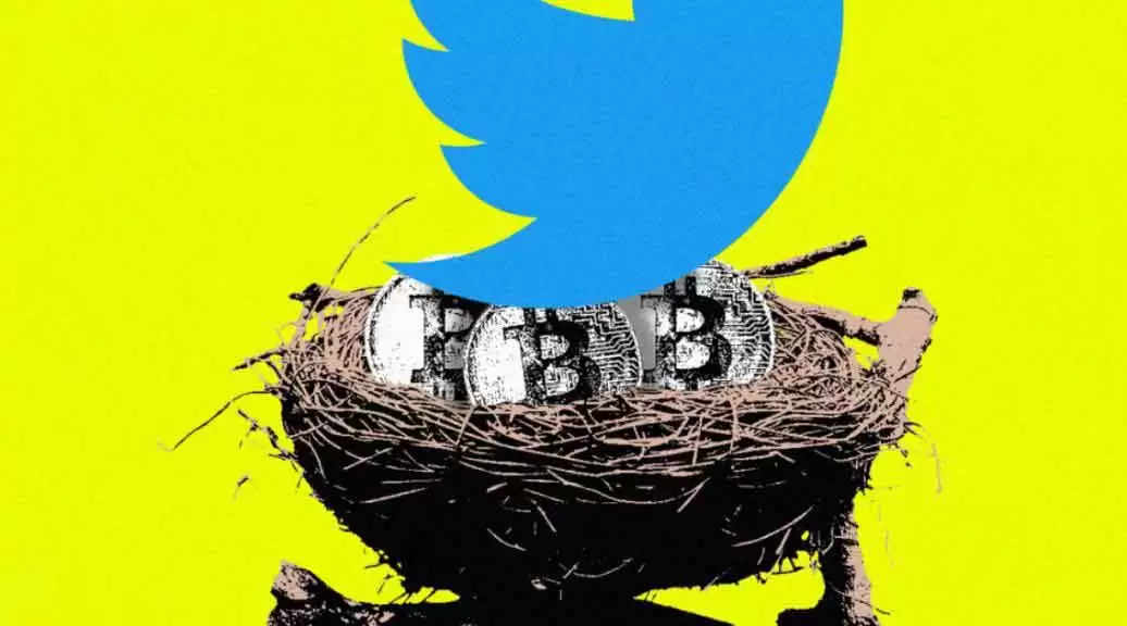 推特概念币有哪些？Twitter相关币种介绍