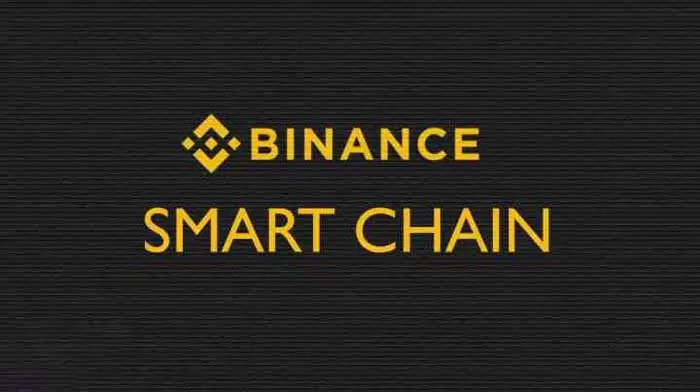 币安智能链有哪些币?币安智能链代币介绍