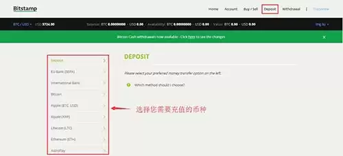 Bitstamp选择充值币种示意