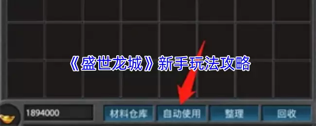 盛世龙城新手攻略：快速入门玩法与技巧详解
