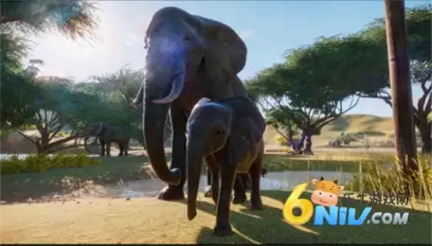 动物园之星狒狒同款