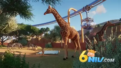 动物园之星狒狒同款