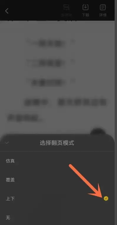 布袋鼠小说app翻页模式选择界面