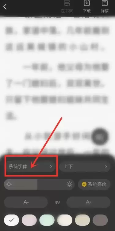 在底部菜单栏中选择系统字体选项
