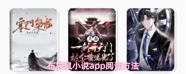 布袋鼠小说app阅读教程步骤概览