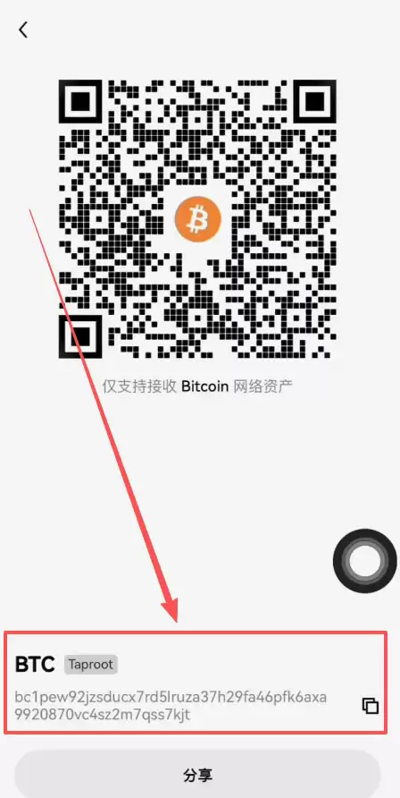 第四步：转入Web3wallet_图5