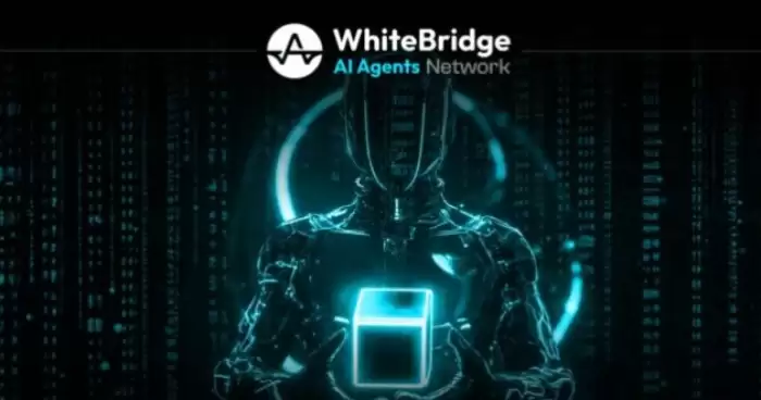 WhiteBridge(WBAI)币全面介绍