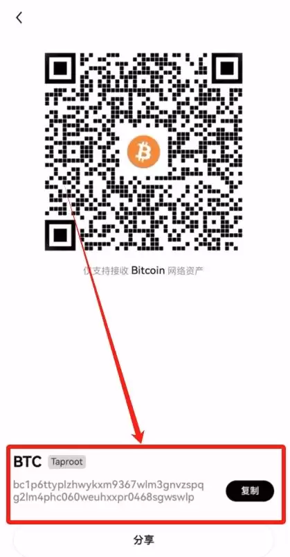 加密货币投资教学:币圈新手必看七步骤入门指南!