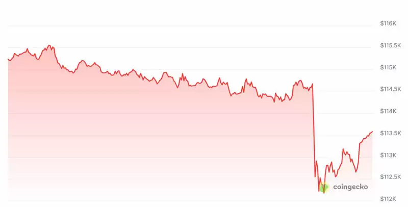Willy Woo：早期巨鲸是比特币（BTC）“痛苦上涨”的罪魁祸首