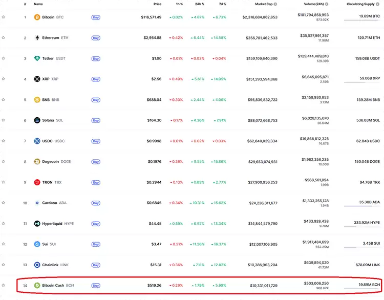 什么是比特币现金（BCH币）？如何购买及未来趋势