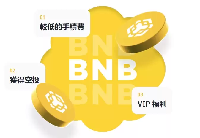 币安币(BNB)币是什么？ 玩法、收益、风险解析(2025年最强平台币攻略)