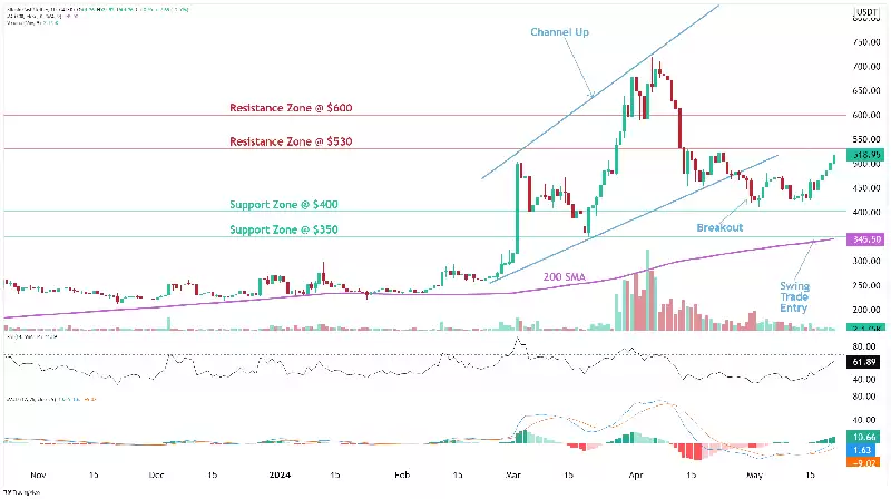 什么是比特币现金（BCH币）？如何购买及未来趋势
