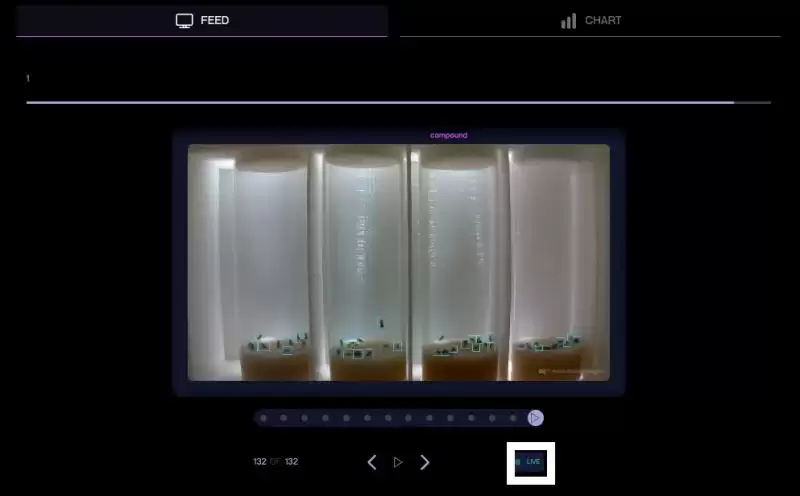 Pump.Science是什么？值得投资吗？未来前景、价值、团队背景介绍