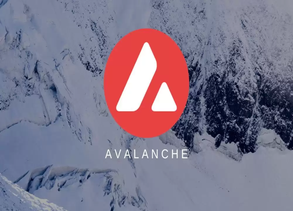 Avalanche（AVAX）是什么币？AVAX代币经济学、未来潜力及价格走势预测