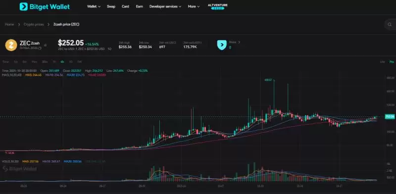 Zcash(ZEC)币详细介绍